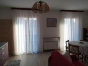 Top Ronzo Chienis Top Ronzo Chienis