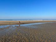 Studio lumineux avec loggia, à 50m de la plage, parking privé, proche commerces et restaurants - FR-1-306-1236