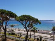 Studio cabine climatisé avec terrasse, parking, animaux admis - FR-1-100-184