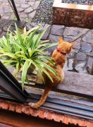 Top Hoi An