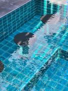 Pattara Mansion พัทยา