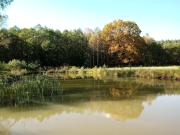 Top Nowy Tomyśl Top Nowy Tomyśl