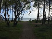 Top Hornbæk