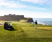 Top Half Moon Bay