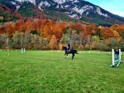 Top Reichenau