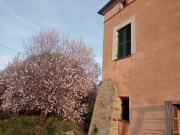 Top San Vito Chietino