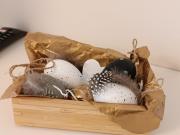 Top Warszawa Top Warszawa