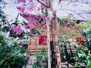 Top Da Lat
