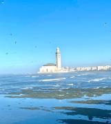 appartement en plein centre de casablanca