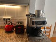 Top Torrevieja Top Torrevieja