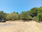 Appartamento Verdina