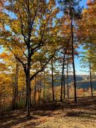 Top Jamestown