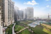 Top Noida