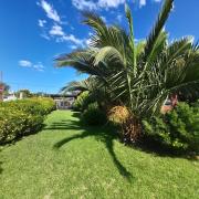 Top Mar del Plata
