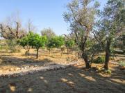 Top Ugento Top Ugento