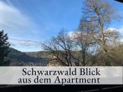 Top Bad Liebenzell