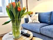 Top Westerland (Sylt)