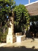 Top Parabita