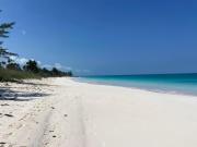 Top North Palmetto Point