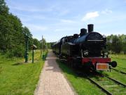 Top Białowieża Top Białowieża