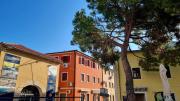 Top Novigrad Istria