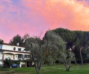 Top Viterbo