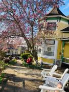 Top Eureka Springs