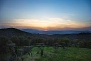 Top Vidreres