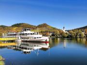 Top Zell an der Mosel