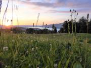 Ferienwohnung Träumli