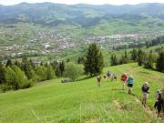 Top Lunca Ilvei Top Lunca Ilvei