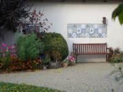 Top Czewujewo Top Czewujewo