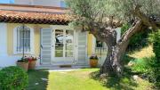 Top Cassis