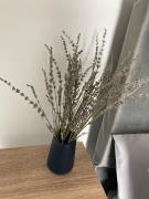 Top Church Coppenhall