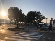 Top Koper