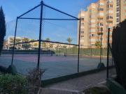 Top Torrox Top Torrox