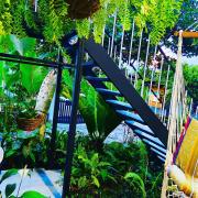 Top San Isidro Top San Isidro