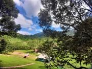 Top Kampong Sum Sum