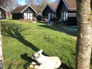 Top Muir of Ord Top Muir of Ord