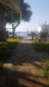 Top Kineta