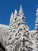 Ferienwohnung Lachtal