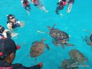 Top Kuala Besut