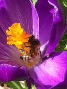 Top Beire-le-Châtel