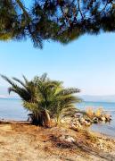 Stilvolle Villa mit Strandlage