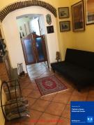 Top Larino Top Larino