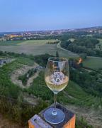Top Naumburg