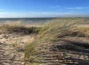 Top Egmond aan Zee Top Egmond aan Zee