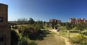 Top Isla Canela
