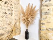 Top Saint-Laurent-des-Arbres