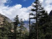 Top Kasol